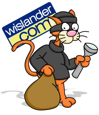 Cat Burglar