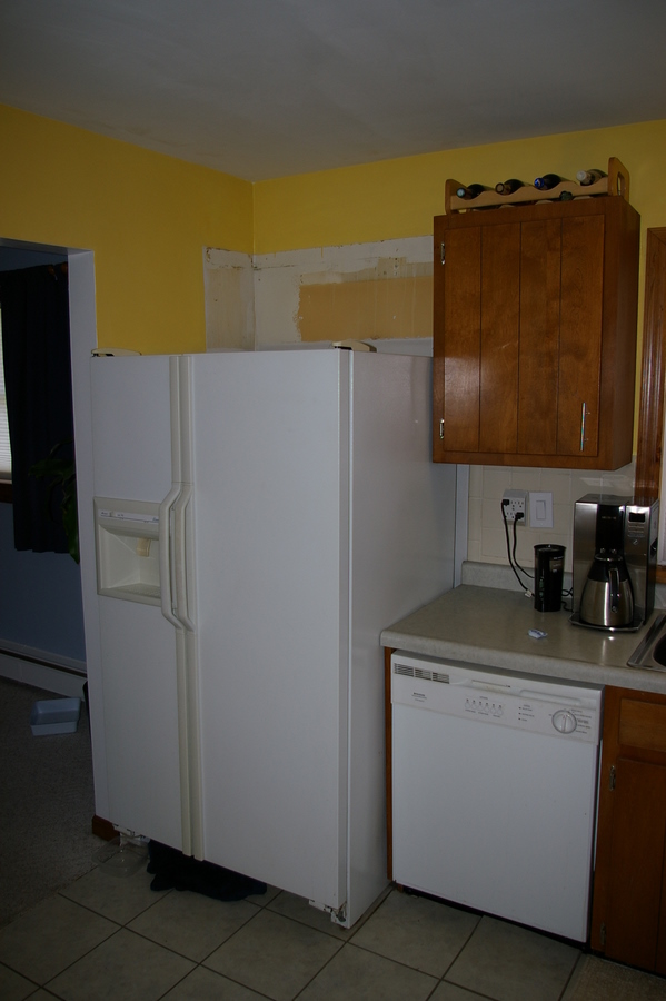 Old Fridge 1